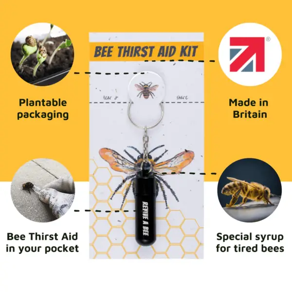 Bee Revival Kit Black Product Explainer Image
