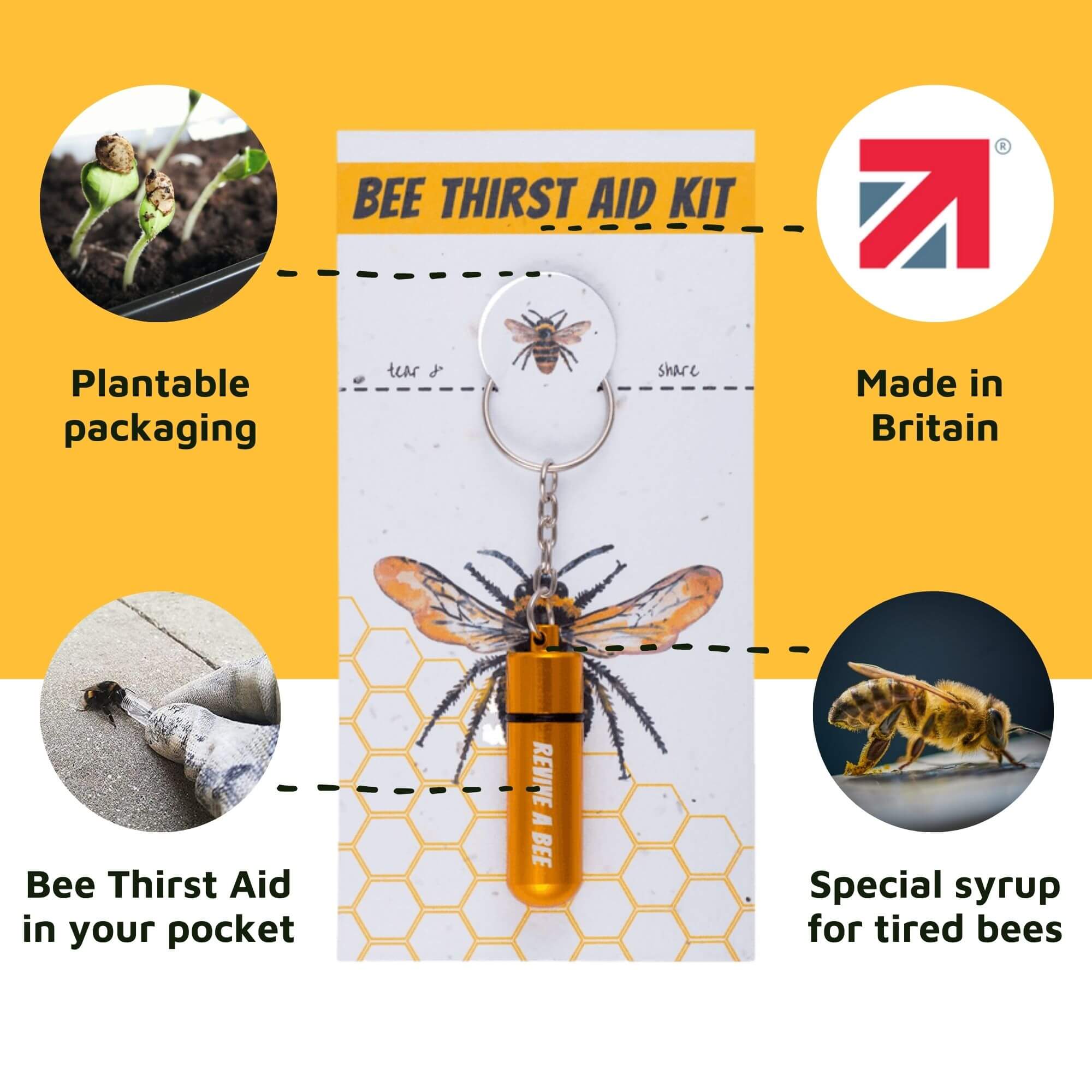 Bee Revival Kit Gold Product Explainer Image