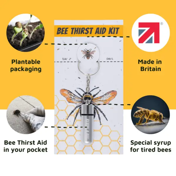 Bee Revival Kit Silver Product Explainer Image