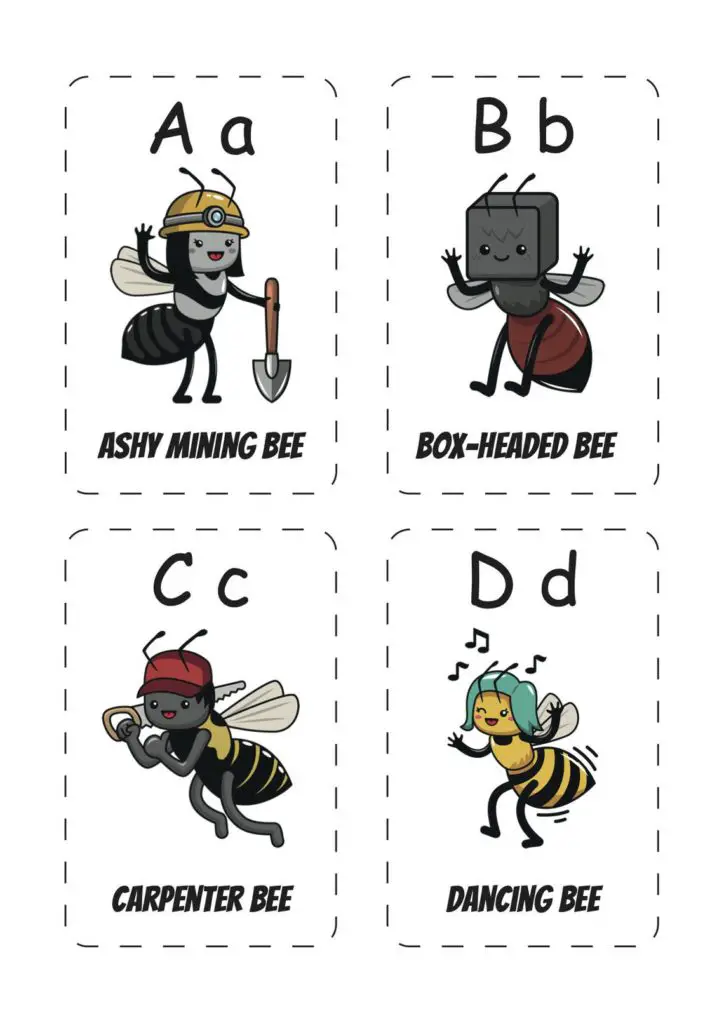 A-D Alphabet Bee Flashcards