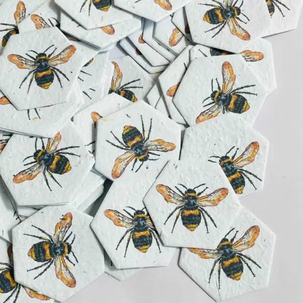 Plantable-Seed-Paper-Shapes-Hexagons-Early-Bumblebee