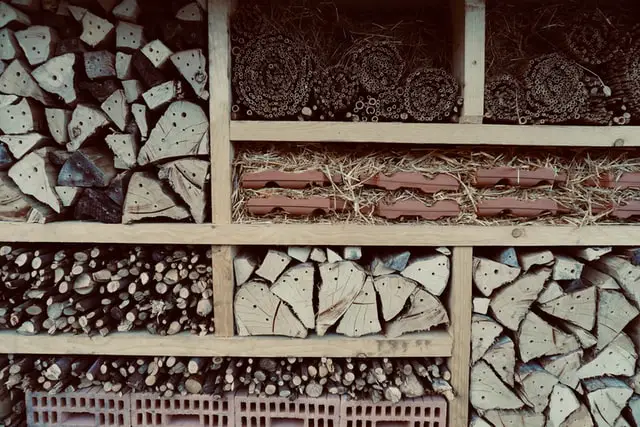different areas of a bee hotel