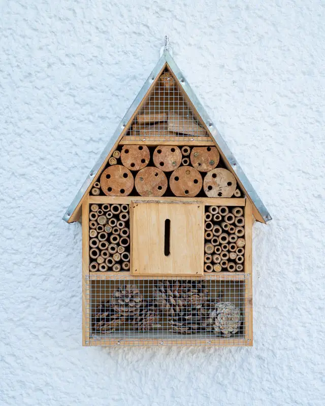 a bee hotel attached to a garden wall