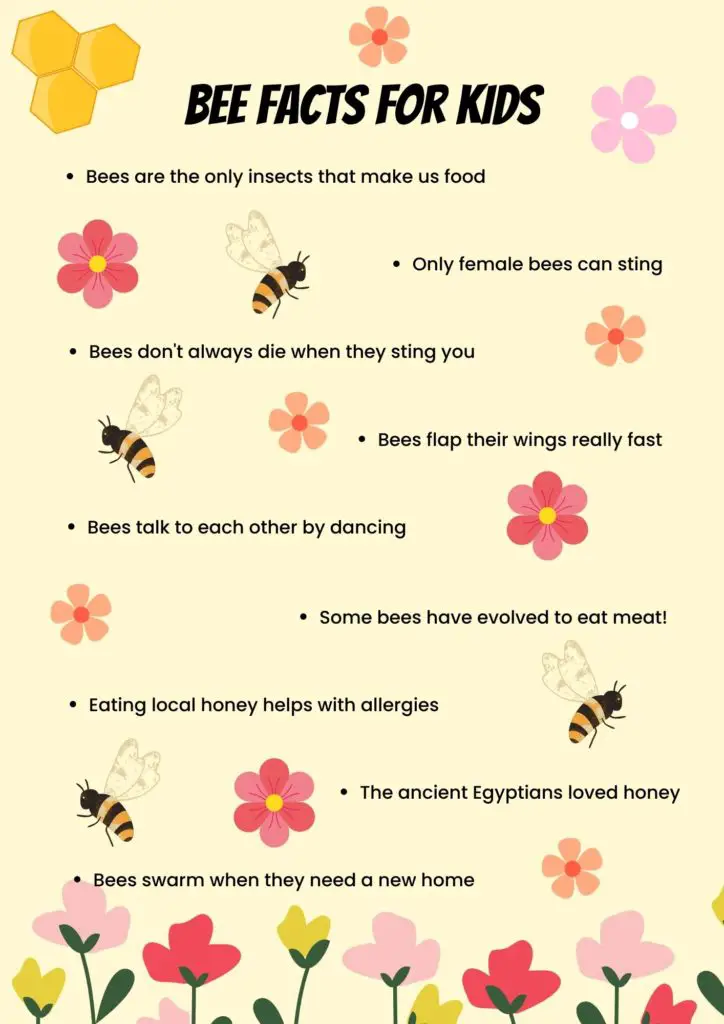 bee facts for kids pdf example