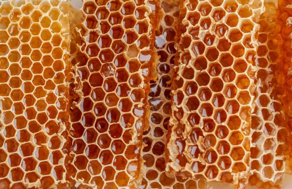 honeycomb covered in honey