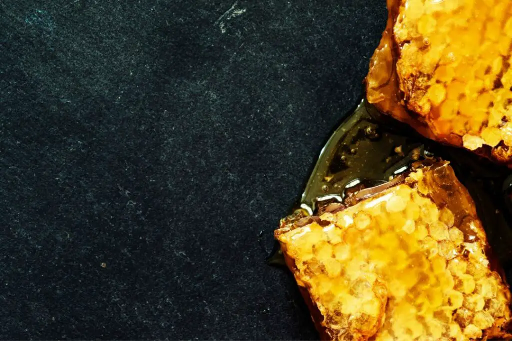 chunks of honeycomb oozing with honey