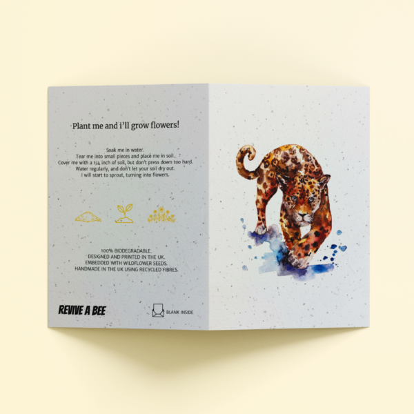 Plantable Card - The Leopard