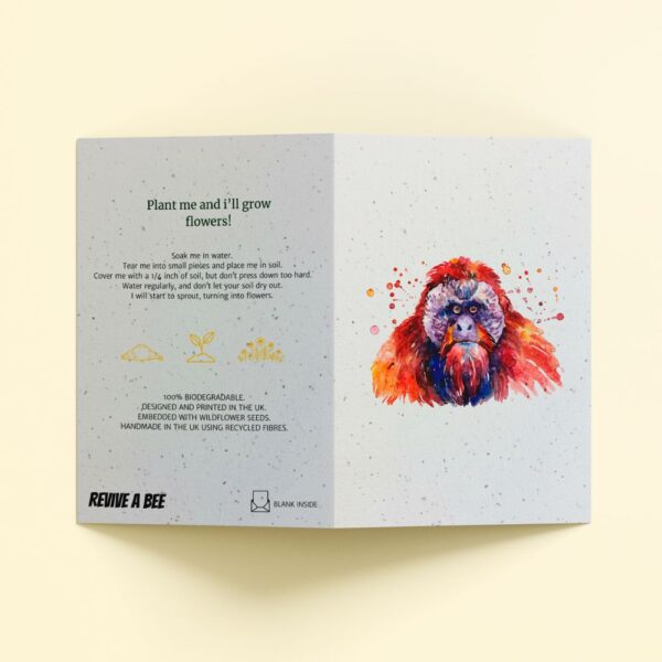 Plantable Card - The Orangutan