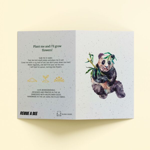 Plantable Card - The Panda