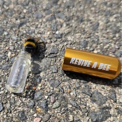 Keyring next to bee being revived