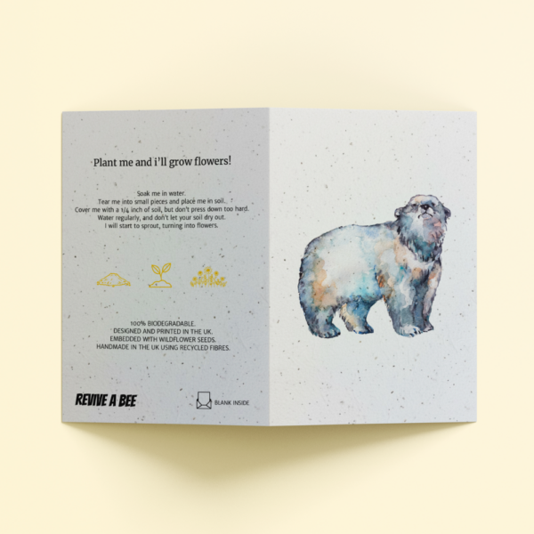 Plantable Card - The Polar Bear