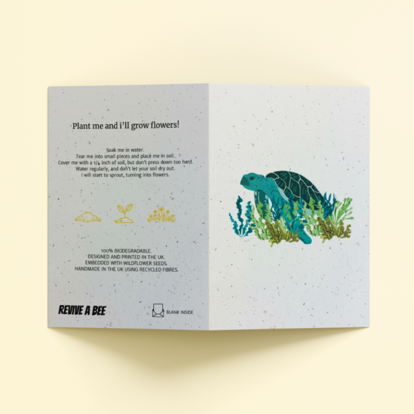 Plantable Card - Sea Turtle