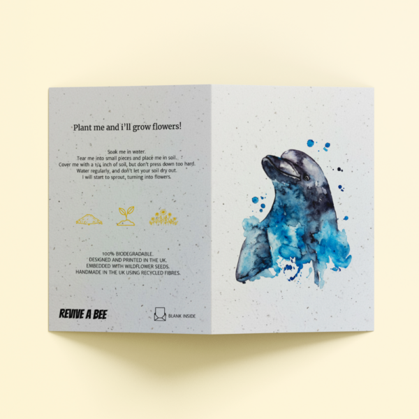 Plantable Card - The Dolphin