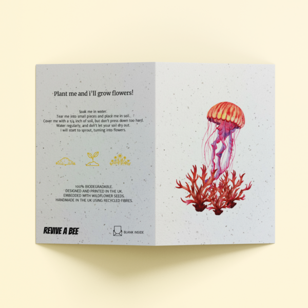 Plantable Card - The Jellyfish