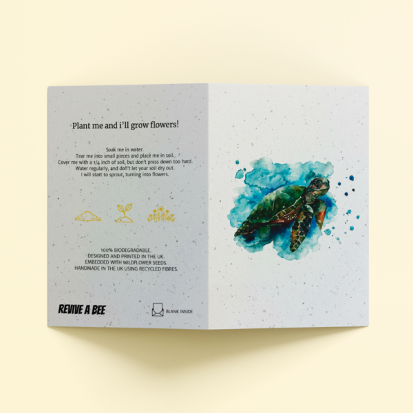 Plantable Card - The Turtle