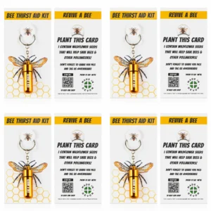 Bee Revival Kit Multipack x 4